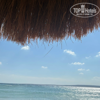 фото из отзыва ID 2737713