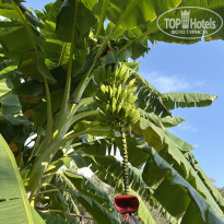 фото из отзыва ID 2737719