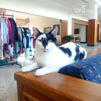 фото из отзыва ID 2737731