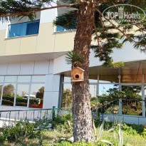 фото из отзыва ID 2737741