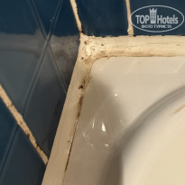 фото из отзыва ID 2737764