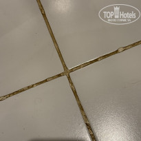 фото из отзыва ID 2737764