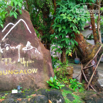 фото из отзыва ID 2737763