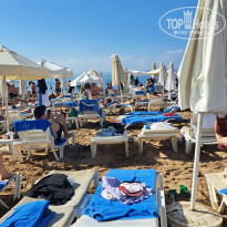 фото из отзыва ID 2737773