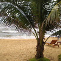 фото из отзыва ID 2737768