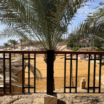 фото из отзыва ID 2737791