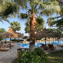 фото из отзыва ID 2737791