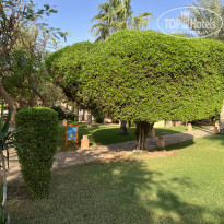 фото из отзыва ID 2737791