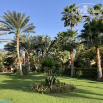 фото из отзыва ID 2737791