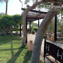 фото из отзыва ID 2737791