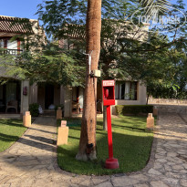 фото из отзыва ID 2737791