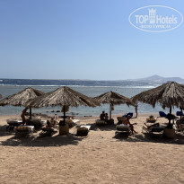 фото из отзыва ID 2737791