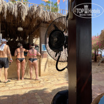 фото из отзыва ID 2737791