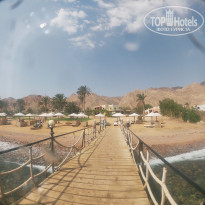 фото из отзыва ID 2737827