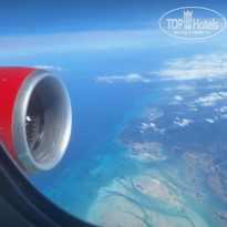 фото из отзыва ID 2737835