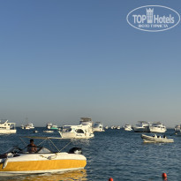 фото из отзыва ID 2737838