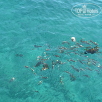 фото из отзыва ID 2737838