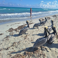 фото из отзыва ID 2737835