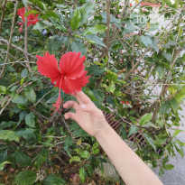 фото из отзыва ID 2737848