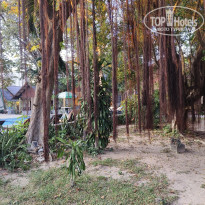 фото из отзыва ID 2737848