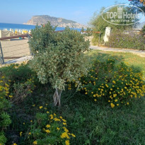 фото из отзыва ID 2737853