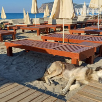 фото из отзыва ID 2737853