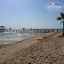 фото из отзыва ID 2737847