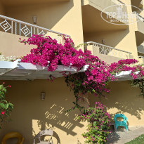 фото из отзыва ID 2737847