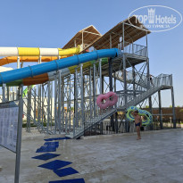 фото из отзыва ID 2737847