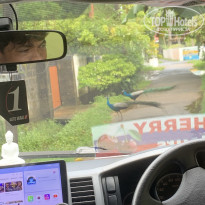 фото из отзыва ID 2737861