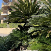 фото из отзыва ID 2737870