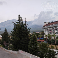 фото из отзыва ID 2737877