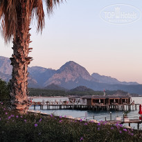 фото из отзыва ID 2737877