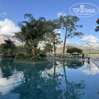 фото из отзыва ID 2737882