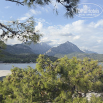 фото из отзыва ID 2737882