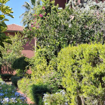 фото из отзыва ID 2737868