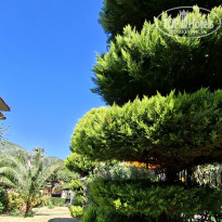 фото из отзыва ID 2737868