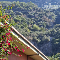 фото из отзыва ID 2737868