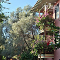 фото из отзыва ID 2737868