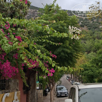 фото из отзыва ID 2737868