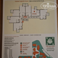 фото из отзыва ID 2737868