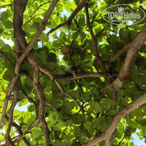 фото из отзыва ID 2737884