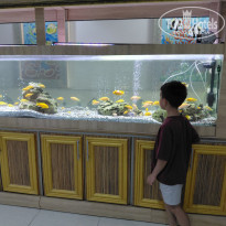 фото из отзыва ID 2737859