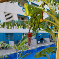 фото из отзыва ID 2737859