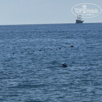 фото из отзыва ID 2737885