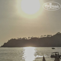 фото из отзыва ID 2737868