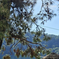 фото из отзыва ID 2737868