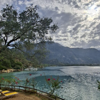 фото из отзыва ID 2737868