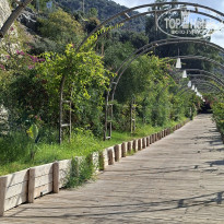 фото из отзыва ID 2737868