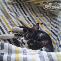 фото из отзыва ID 2737868